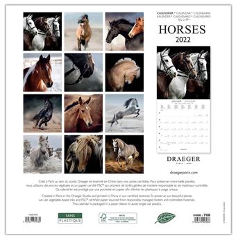 Grand Calendrier Mural Chevaux - 2022 - Draeger Paris