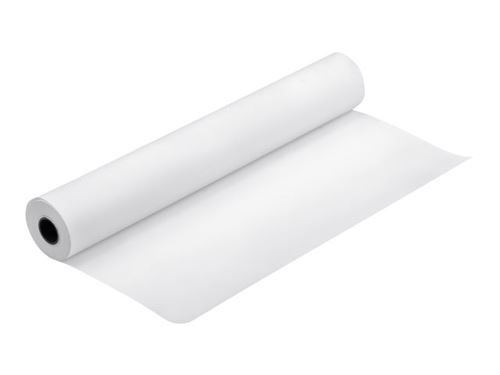 EPSON  Production Canvas Matte - Mat - Rouleau A1 (61,0 cm x 12,2 m) 1 rouleau(x) papier toil&eacute; - pour Stylus Pro 11880, Pro 9890; SureColor SC-P20000, T3000, T3200, T5000, T5200, T7000, T7200 
