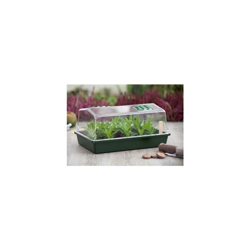 Mini serre terrine et couvercle ventilé 37x24x18 xm