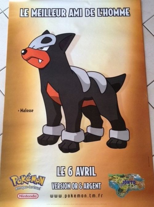 Pokémon - 80x120 cm - AFFICHE / POSTER