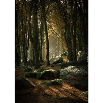 Tableau Sur Toile 100x140 Cm 'architecture Géométrique Colorée' - Impression HD, Châssis Bois FSC, Fabriqué En France, Décoration Moderne Salon/chambre - 8