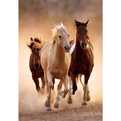 Non Communiqué Puzzle 1000 Pièces Cheval