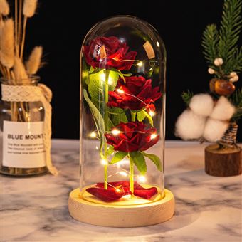 Rose Eternelle VORMOR sous Cloche Dôme en Verre pour Fête des Mères,Saint-Valentin,Mariage - 1