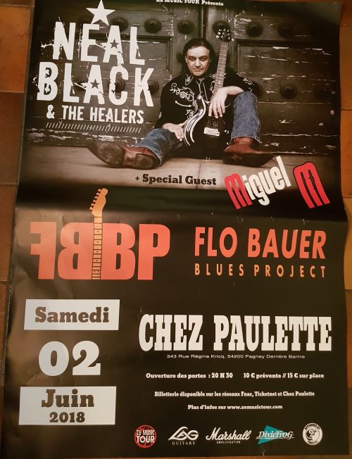 Neam Black & the Healers - AFFICHE