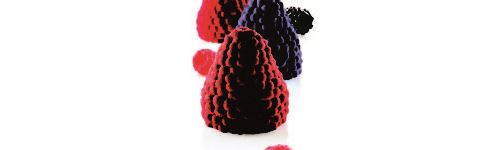 Moule silikomart mure et framboise