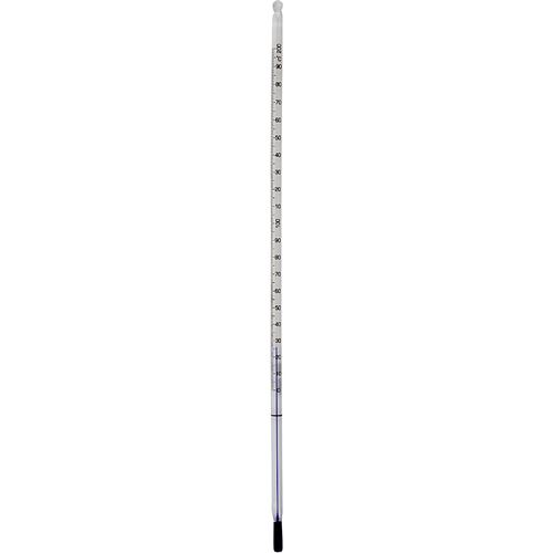 CCHobby thermomètre transparent 31 cm