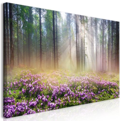 Tableau - Purple Meadow (1 Part) Wide .Taille : 70x35