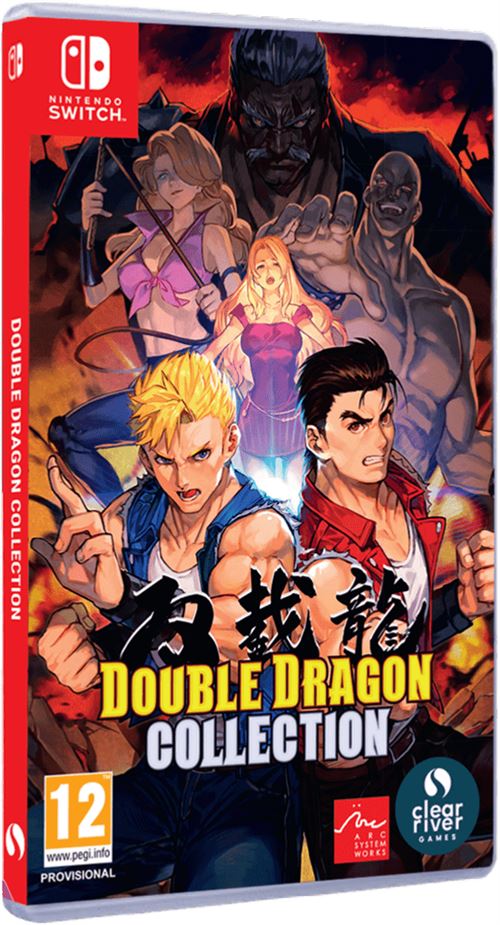 Double Dragon Collection Nintendo Switch État correct -  reconditionné disponible sur Fnac