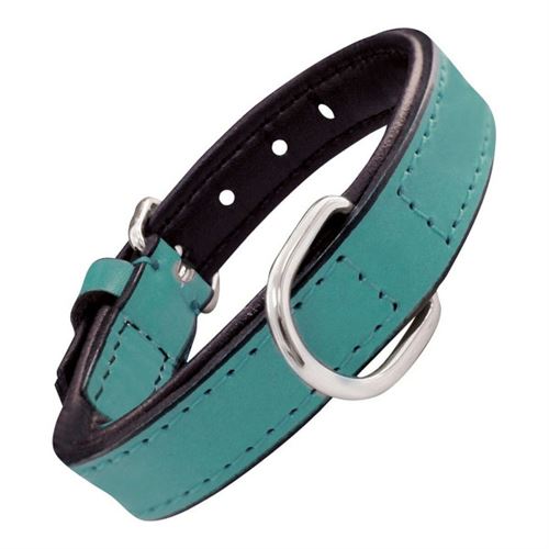 Meilleurs prix pour Collier pour Chien Gloria Rembourré Turquoise 55 2 5 cm