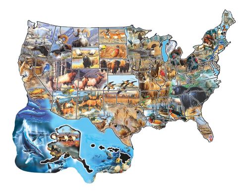 Wild America - A 600 Piece Jigsaw Puzzle By SunsOut