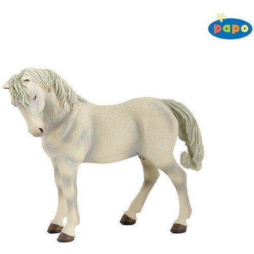 Lipizzaner Mare