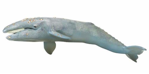 Safari animaux marins Baleine à fanons junior 32 cm gris