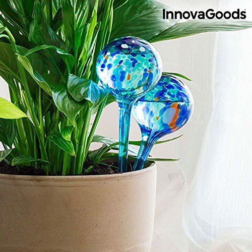 Globes d'arrosage automatique des plantes, mini bulbes décoratifs