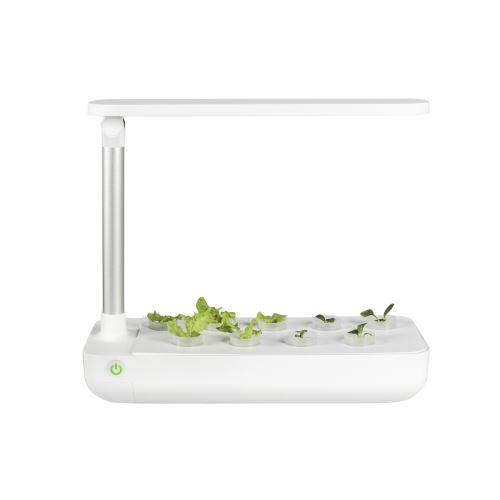 Jardin intelligent hydroponique platinet
