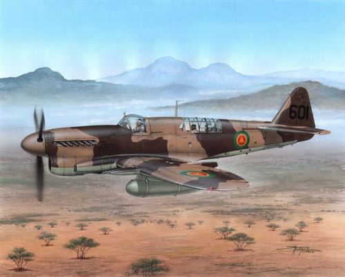 Fairey Firefly Fr Mk.i Foregin Post War - 1:48e - Special Hobby
