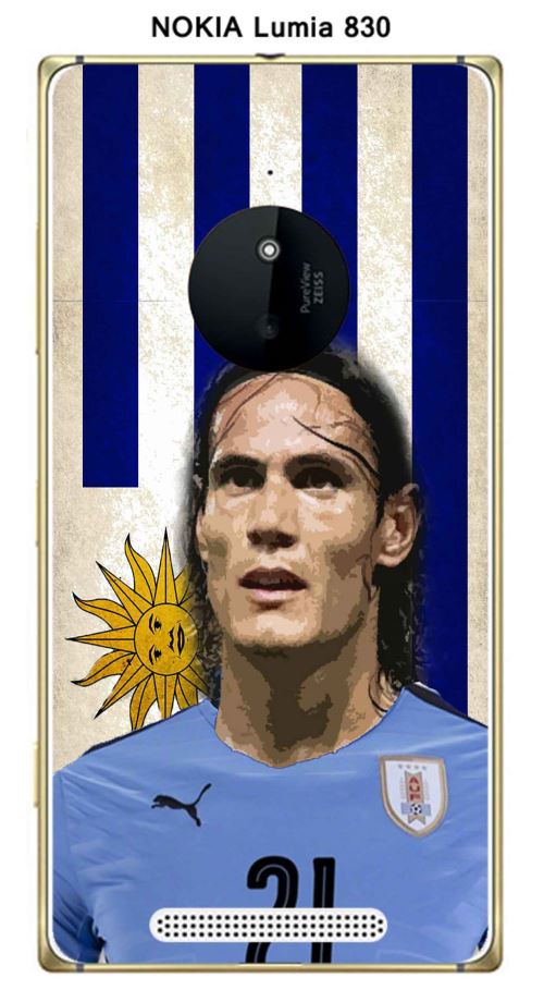Coque Nokia Lumia 830 design Cavani & Drapeaux