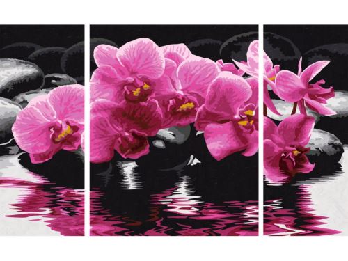 Schipper - MNZ - Orchids (Triptychon)