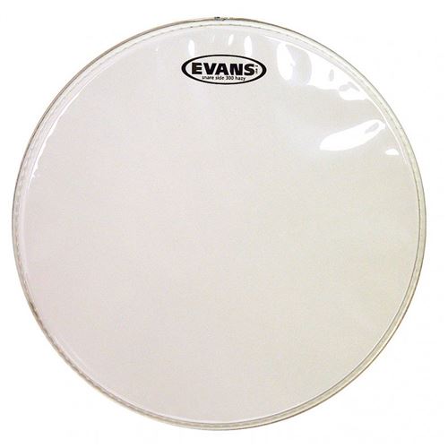 Peau de timbre caisse claire evans genera 300 12