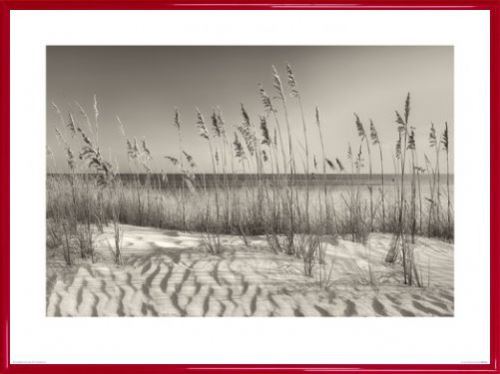 Poster Reproduction Encadré: Dunes - Dune Grass, Dennis Frates (60x80 Cm), Cadre Plastique, Rouge