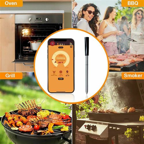 26€88 sur Thermomètre à barbecue Bluetooth sans fil Sonde électronique  pliante-NOIR - Accessoires pour barbecue et fumoir - Achat & prix