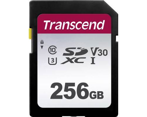 SDXC 256 Go 300S UHS-I 633x (95 Mb/s)
