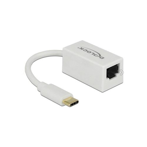 DeLOCK 65906 RJ-45 carte et adaptateur d'interfaces - Cartes et adaptateurs d'interfaces (USB Type-C, RJ-45, RJ-45, Realtek RTL8153, 5 Gbit/s, 5 Gbit/s)