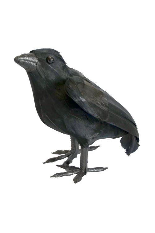 Corbeau En Plumes Decoration 16cm - Noir