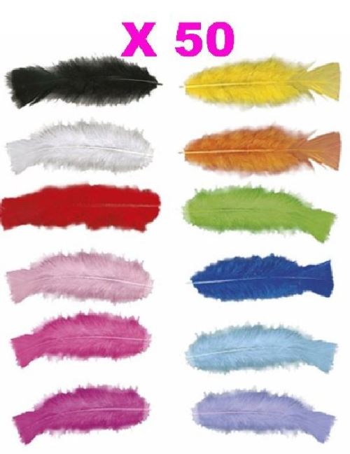 Plumes Droites multicolores (15cm) - Lot de 50