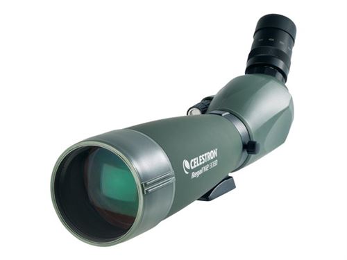 Celestron Regal M2 - Portée du repérage 20-60 x 80 - Etanche - vert