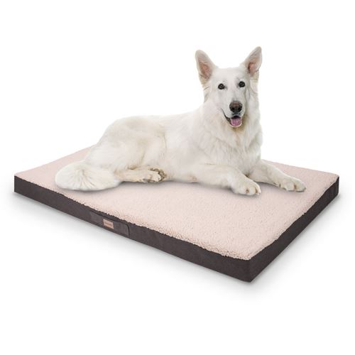 Meilleurs prix pour Panier pour chien - Brunolie Balu - Coussin pour chien - Taille XXL (140 x 10 x 100 cm) - Mousse - Beige