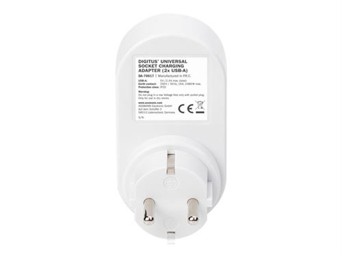 DIGITUS DA-70617 - Adaptateur secteur - CA 250 V - 3680 Watt - connecteurs de sortie : 2 - blanc/gris