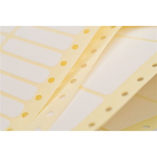 AVERY ZWECKFORM Lot de 3 Bo&icirc;tes de 3000 &eacute;tiquettes ordinateur 107X48.8 1 pose FT3913-500