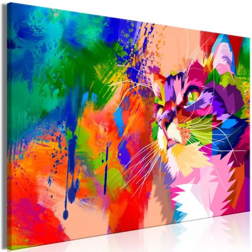 Tableau - Colourful Cat (1 Part) Wide .Taille : 120x80
