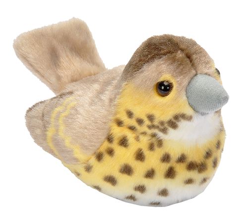 Peluche sonore grive musicienne