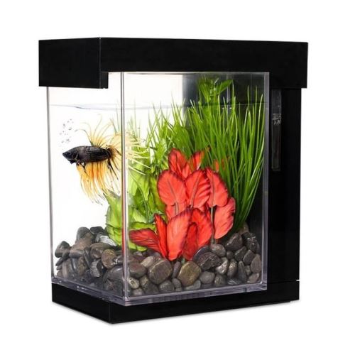 Meilleurs prix pour marina aquarium ez care style pour betta - 3,78 l