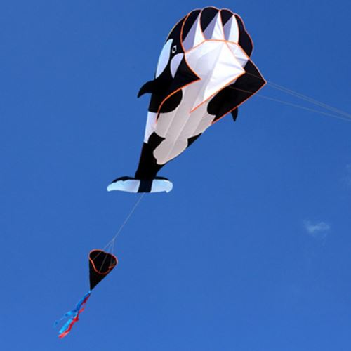 3D Cartoon Whale Software Kite Single Line BechWith String Noir et blanc