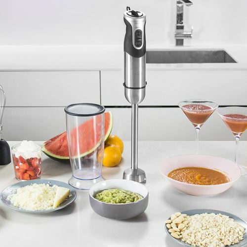 Mixeur plongeur multifonction 21 vitesses et Turbo en acier inoxydable Titanium Pro 1000W - Bol avec couvercle