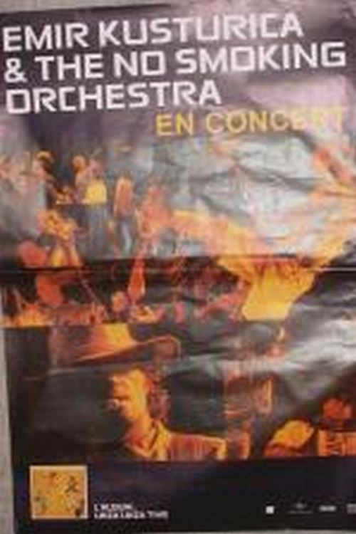 Emir Kusturica - 80x120 cm - AFFICHE / POSTER