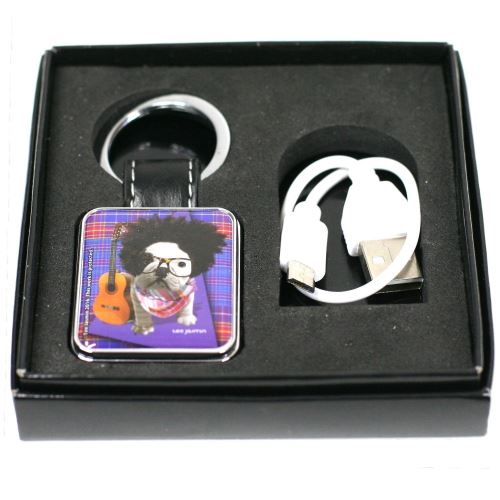 Porte Clef / Briquet USB - Chien Guitariste