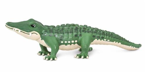 Safari animaux sauvages Bernie l'alligator