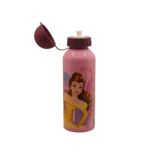 Gourde pour Enfant 550 ml - avec Motif Barbi Princesse- Rose - pour  Maternelle ou école, Sports de Plein Air : : Fournitures de bureau