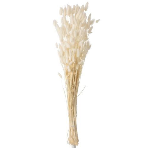Generique Bouquet De Fleurs Queue De Lièvre 86Cm Ecru - Image 3