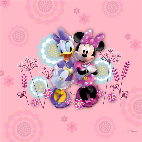Coussin - Disney Minnie et Daisy 40 cm x 40 cm
