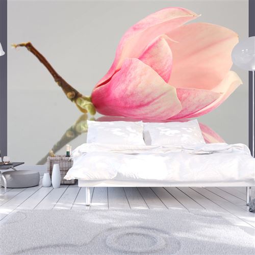 Papier peint Fleur de magnolia solitaire-Taille L 250 x H 193 cm