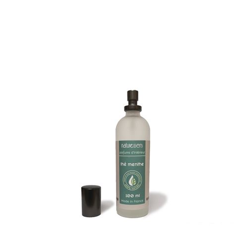 Parfum d 'interieur en spray de 100 ml - The Menthe