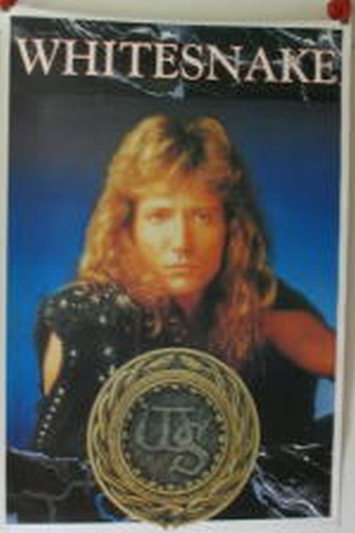 Whitesnake - 60x84 cm - AFFICHE / POSTER