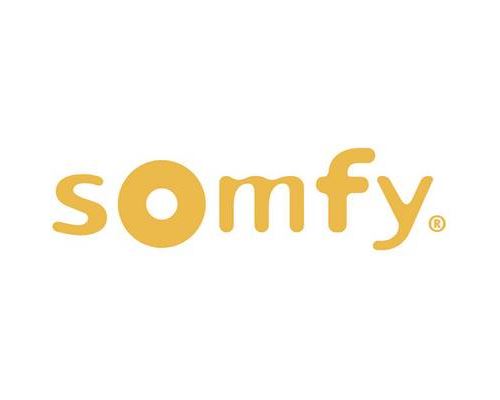 Somfy 2401368 Détecteur de fumée sans fil Somfy TaHoma