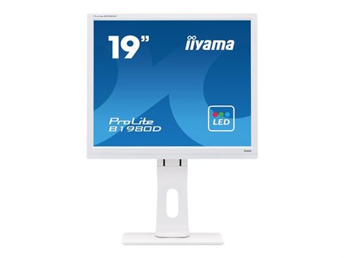 iiyama ProLite B1980D-W1 - Écran LED - 19 - 1280 x 1024 @ 60 Hz - TN - 250 cd/m² - 1000:1 - 5 ms - DVI, VGA - blanc mat