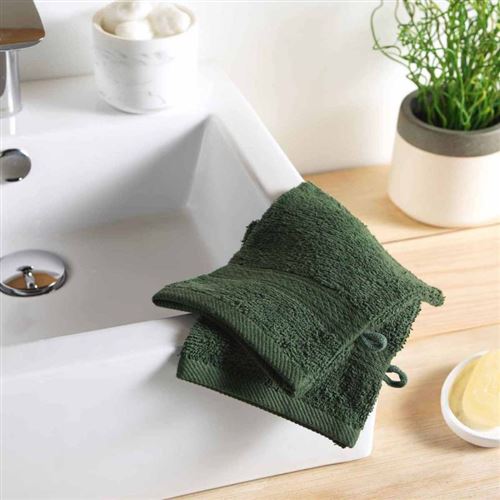 Paris Prix - Lot De 2 Gants De Toilette colors 15x21cm Kaki