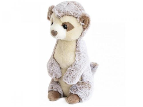 Histoire d'ours - Suricate